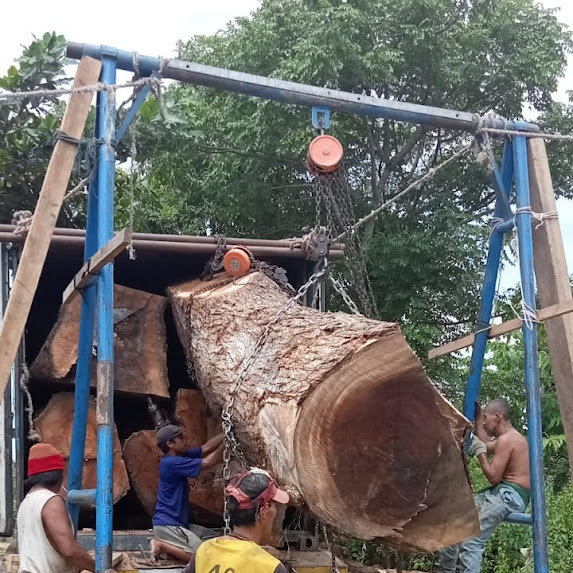 Pengiriman Kayu Gelondongan oleh LaTolla Indonesia